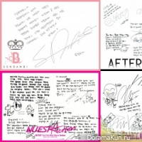 pledis