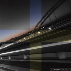 seagrass-cover