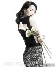 Shin Min Ah