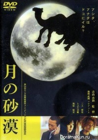 Desert Moon