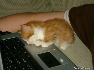 Оккэт