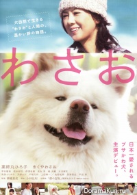 Wasao