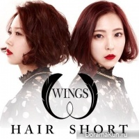 Wings
