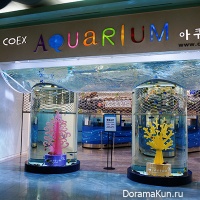 coex4
