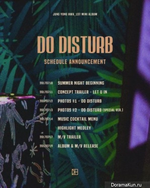 Do Disturb
