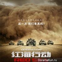 Operation Red Sea