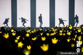 Big bang 10 years
