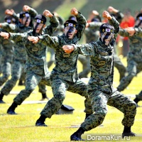 army