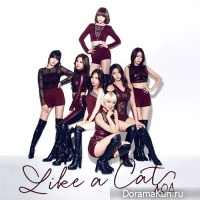 AOA - Like a Cat