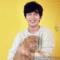 Imaginary Cat