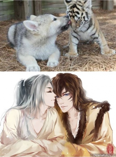 Xuedaixun