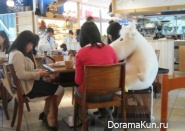 Moomin Bakery Cafe