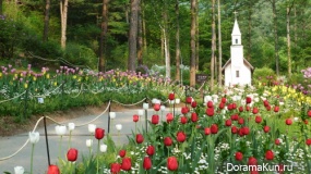 The festival of spring flowers
