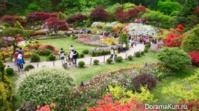 The festival of spring flowers
