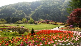 The festival of spring flowers