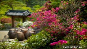 The festival of spring flowers