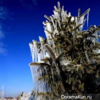 first frost China