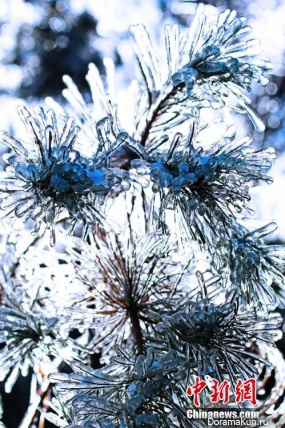 first frost China