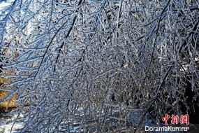 first frost China