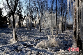 first frost China