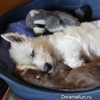 hibernation