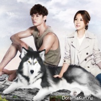 Prince of Wolf