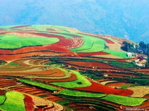 Yunnan province