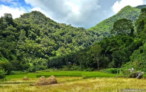 Yunnan province