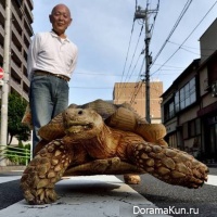 Hisao Mitani