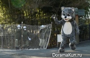 Escape from the zoo