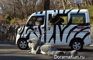 Escape from the zoo