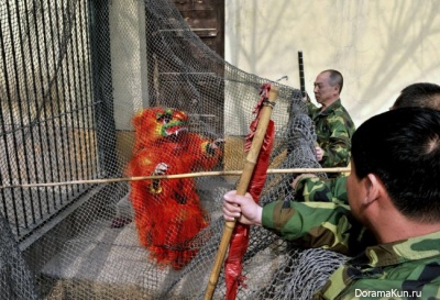 Escape from the zoo