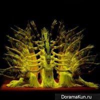 Тайюань