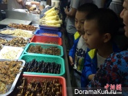 fried insects