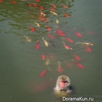 Wildlife Park Hefei