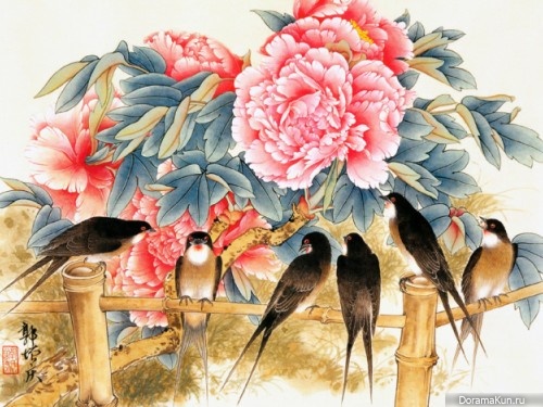 Swallow