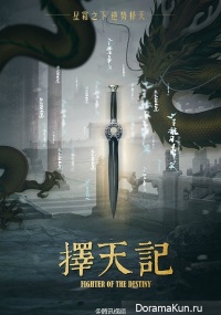 Fighter of the Destiny