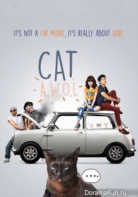 Cat a Wabb