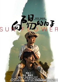 Sun Flower