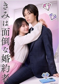 Kimi wa Mendona Konyakusha