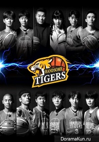 Handsome Tigers