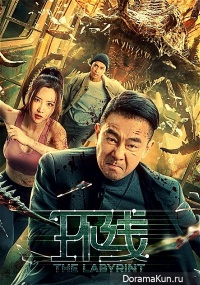 The Labyrinth