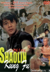 Shaolin Kung Fu