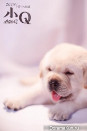 Little Q
