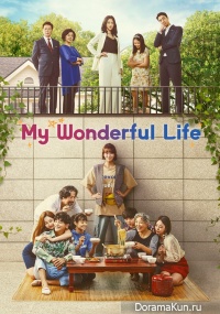 My Wonderful Life