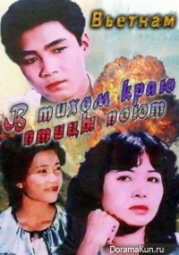 Noi binh yen chim hot