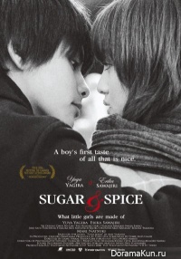 Sugar and Spice Fumi Zekka