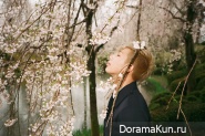 BTS для The Age of Blossoms