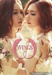 Interview with Wings