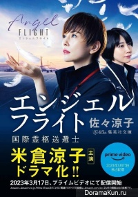 Angel Flight: Kokusai Reikyu Sokanshi